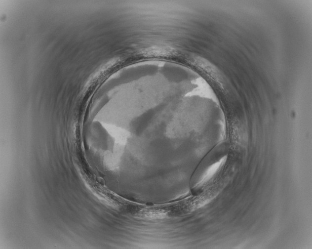 X0000087630491200705311332