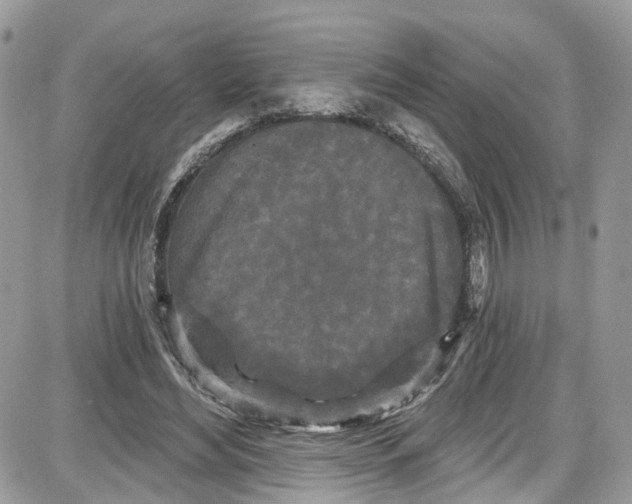 X0000087630492200705311332