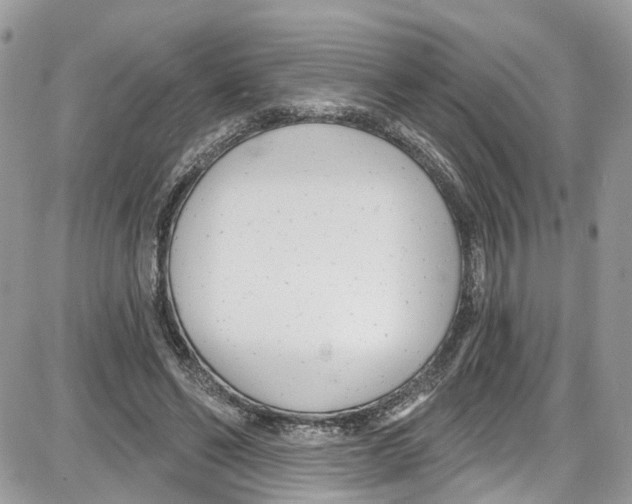 X0000087630494200705311332