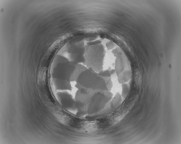 X0000087630495200705311332