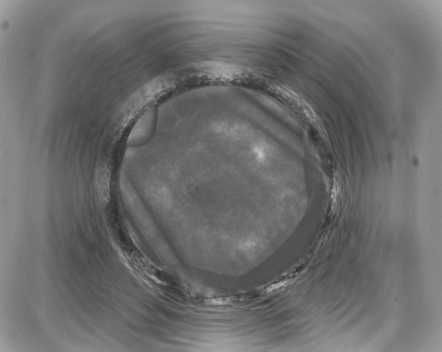 X0000087630496200705311332