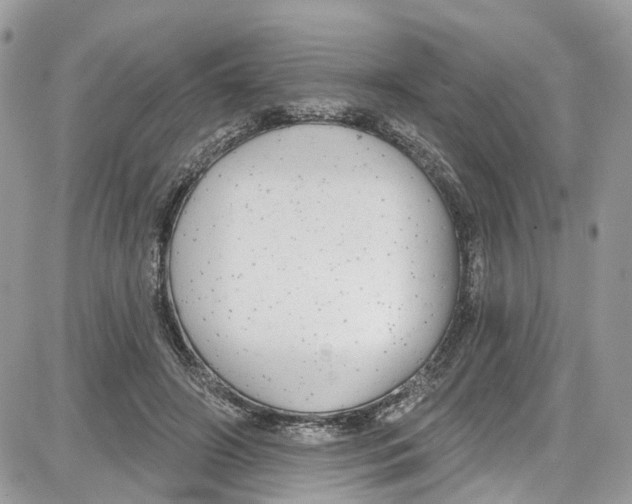 X0000087630498200705311332