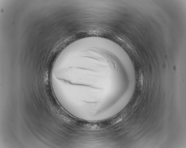 X0000087630502200705311332