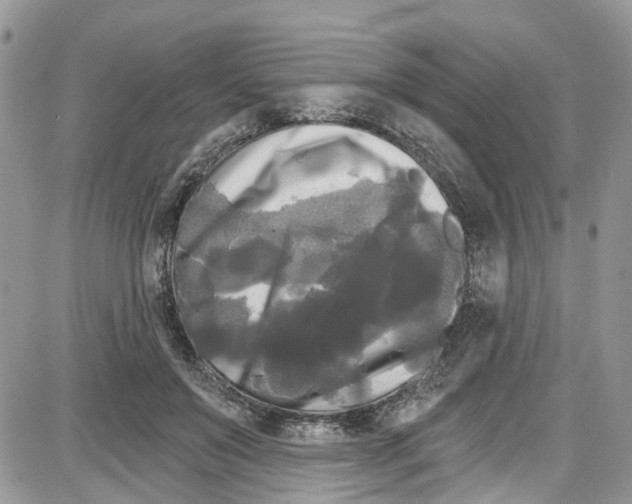 X0000087630503200705311332