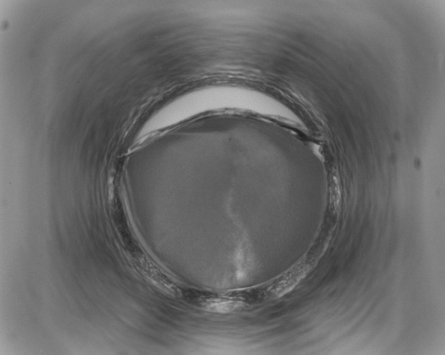 X0000087630504200705311332