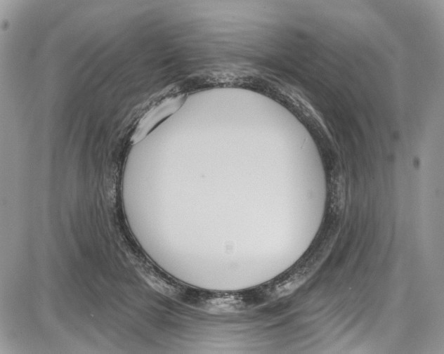 X0000087630505200705311332