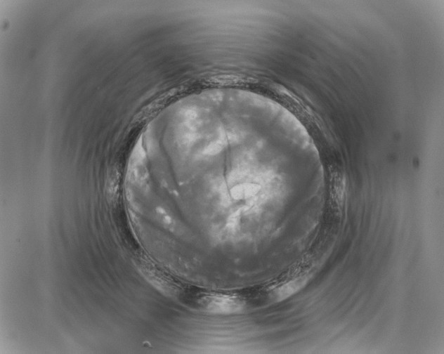 X0000087630507200705311332