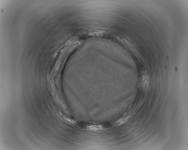 X0000087630508200705311332