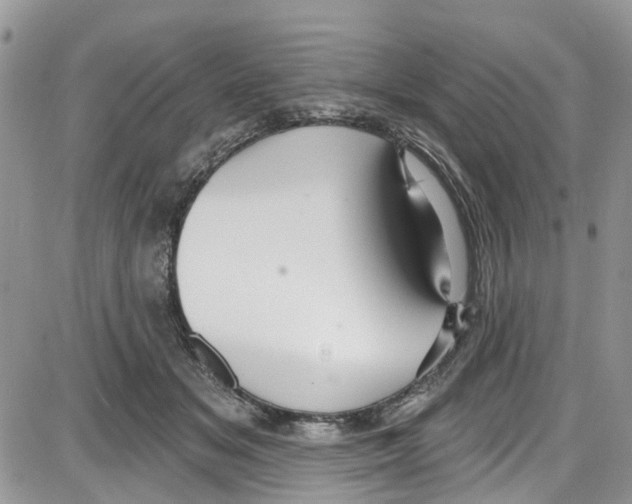 X0000087630509200705311332