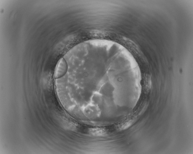 X0000087630511200705311332