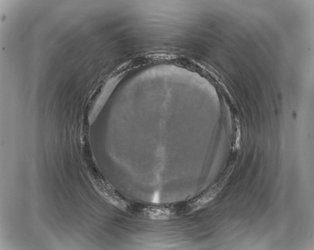 X0000087630512200705311332