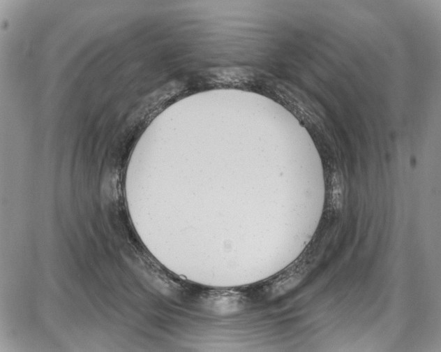 X0000087630514200705311332