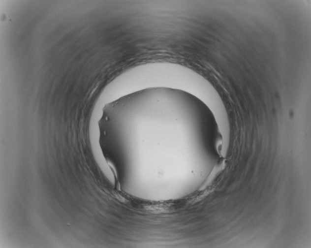 X0000087630516200705311332