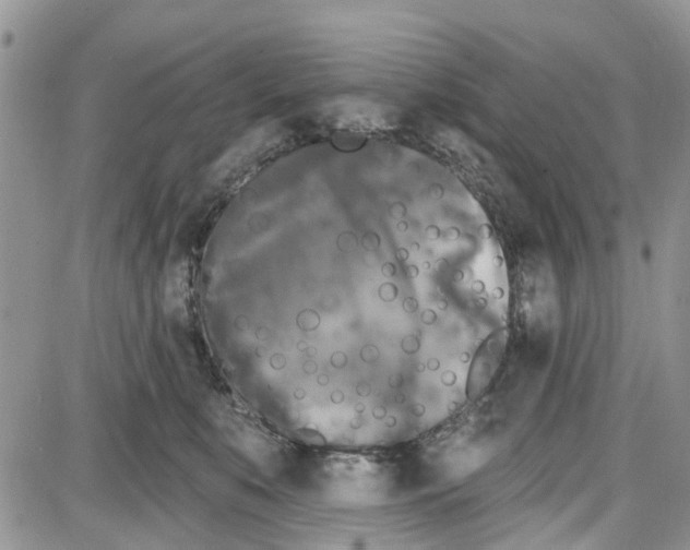 X0000087630519200705311332