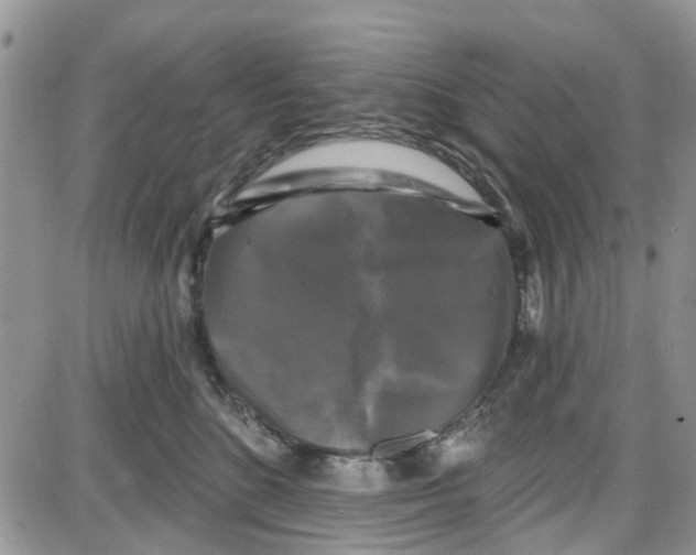 X0000087630520200705311332