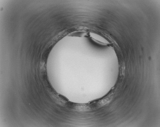 X0000087630521200705311332