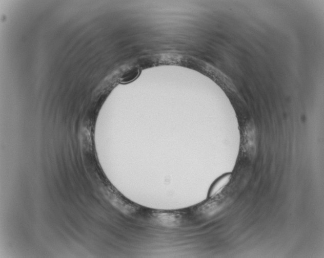 X0000087630522200705311332