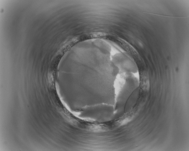 X0000087630523200705311332