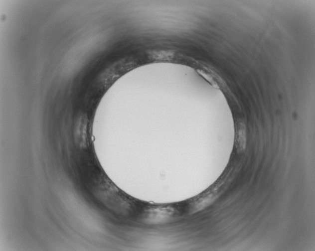 X0000087630525200705311332