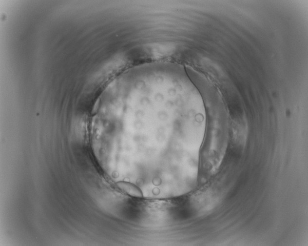 X0000087630527200705311332