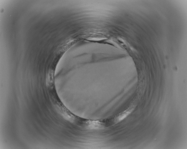 X0000087630528200705311332