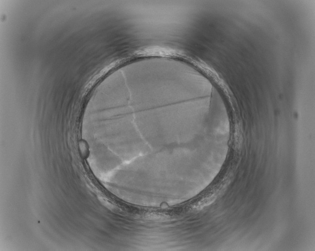 X0000087630529200705311331