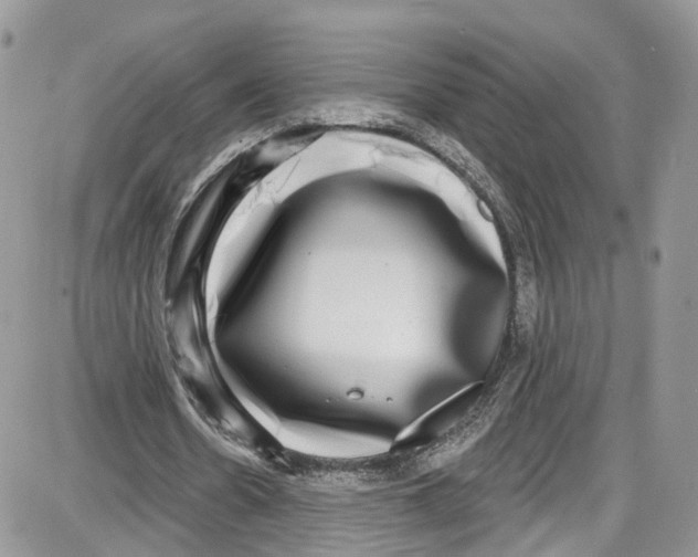 X0000087630530200705311331