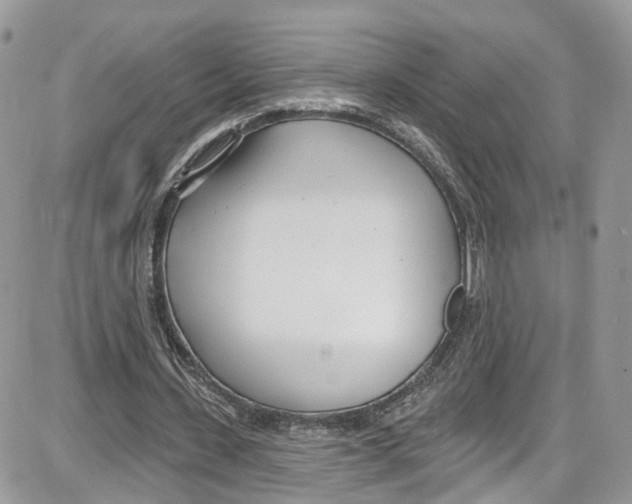 X0000087630531200705311331