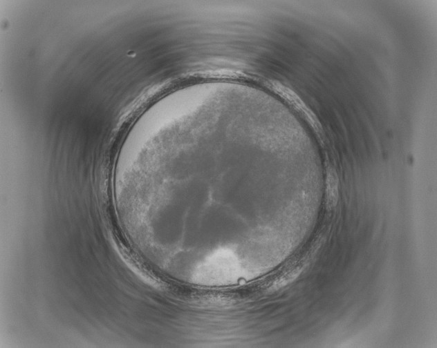 X0000087630533200705311331