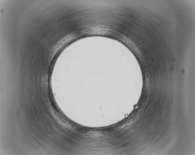 X0000087630534200705311331