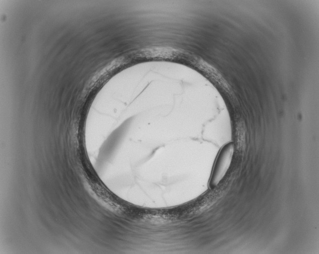 X0000087630538200705311331