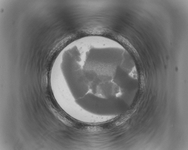 X0000087630541200705311331