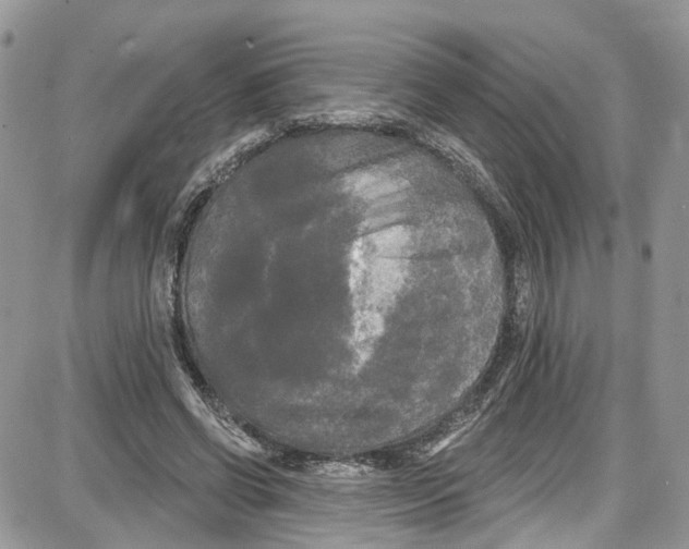 X0000087630542200705311331