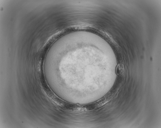 X0000087630543200705311331