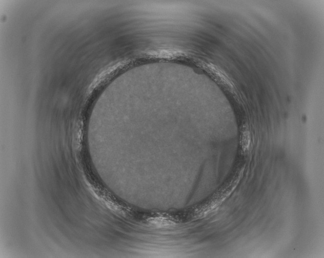 X0000087630544200705311331