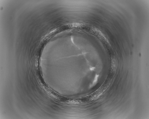 X0000087630545200705311331