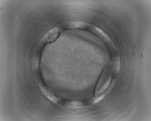 X0000087630546200705311331