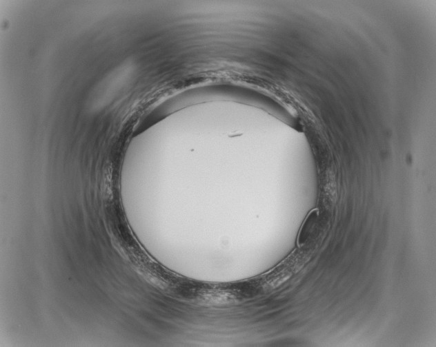 X0000087630547200705311331