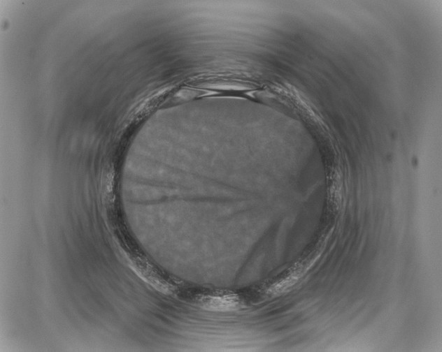 X0000087630548200705311331