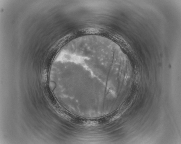 X0000087630549200705311331