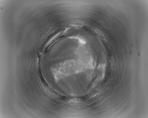 X0000087630550200705311331