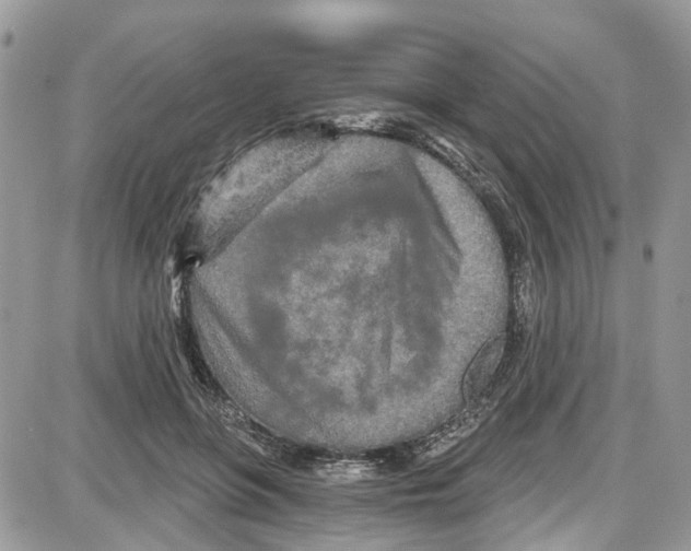 X0000087630551200705311331