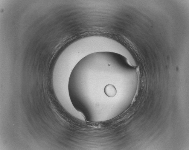 X0000087630552200705311331