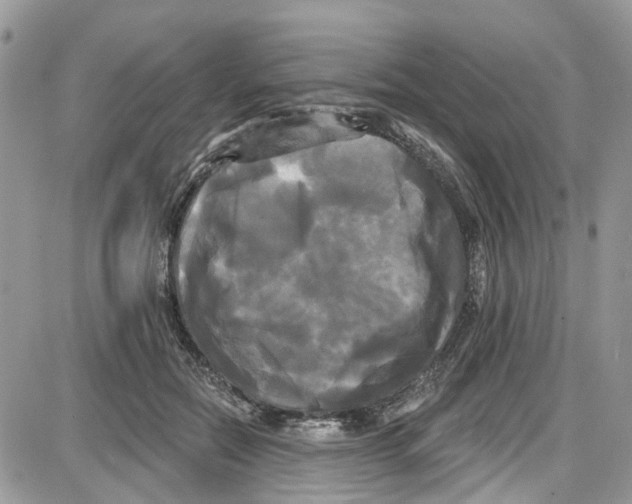 X0000087630554200705311331