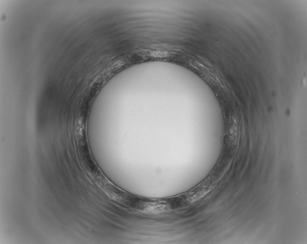 X0000087630555200705311331