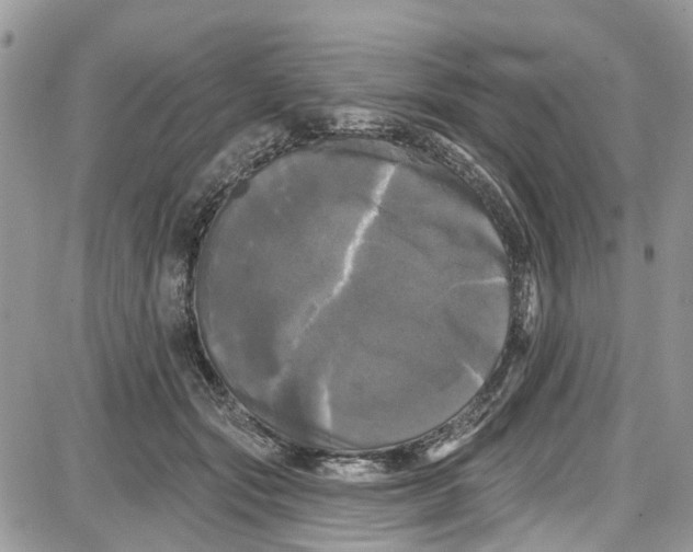 X0000087630557200705311331