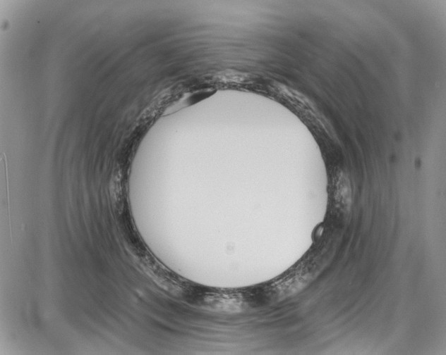 X0000087630559200705311331