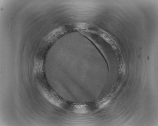 X0000087630560200705311331