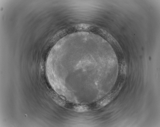 X0000087630561200705311331