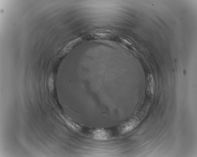 X0000087630562200705311331